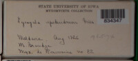 Image Associated With the Occurence